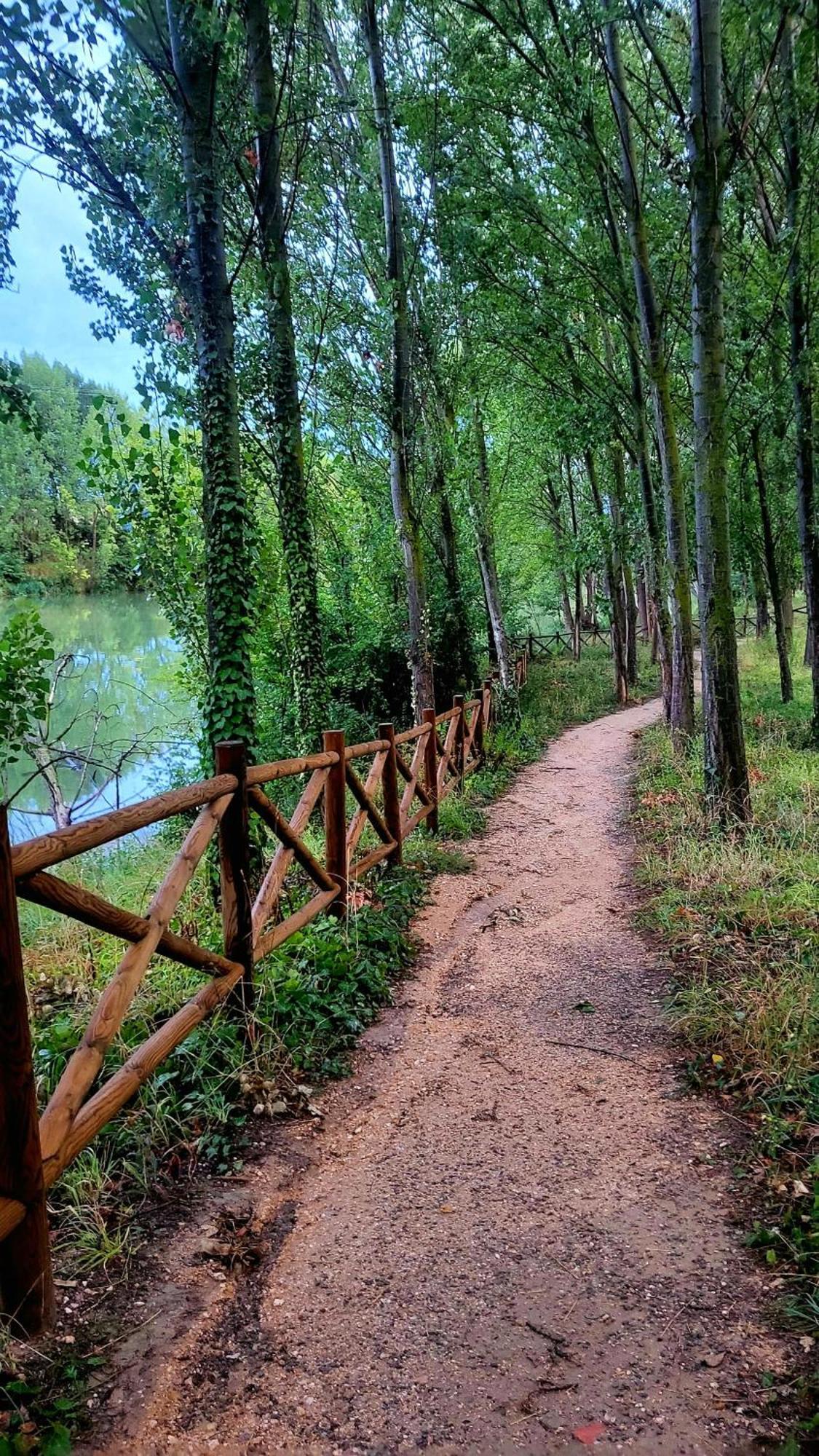 Casa De La Tia Irene Διαμέρισμα Briñas Εξωτερικό φωτογραφία